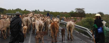 17 Agosto: Diema - Kidira