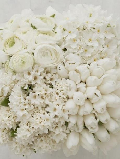 Sueños etéreos en Blanco