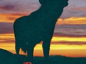 Reseña clan loba, Maite Carranza