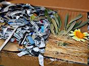 Probando LaSaponaria, amor primera vista