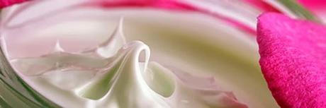 LaSaponaria presenta Web en España