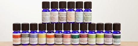 LaSaponaria presenta Web en España