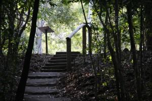 campamentos de inglés