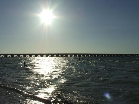 Chicxulub y los dinosaurios Progreso