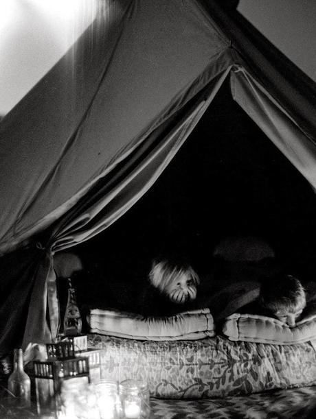 Planazo de vacaciones: vámonos de camping!