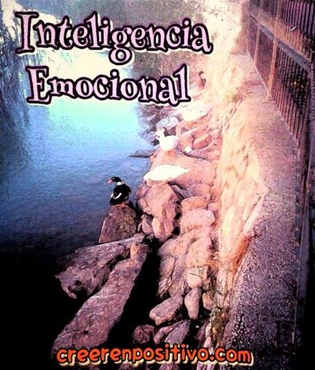 Inteligencia emocional
