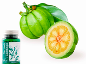 Garcinia Cambogia: propiedades beneficios para salud