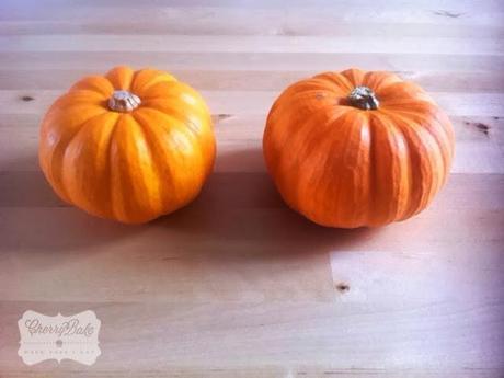 Mini Pumpkin, It's Halloween! / Mini Calabazas, Es Halloween!