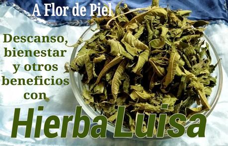 Hierba Luisa o Verbena Olorosa-propiedades,usos y recetas caseras