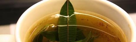 Hierba Luisa o Verbena Olorosa-propiedades,usos y recetas caseras