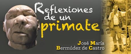 reflexiones, primate, antropología, jose maria bermudez de castro, atapuerca