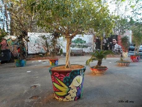 Imágenes de arte en Ciutat Vella   Valencia 2014