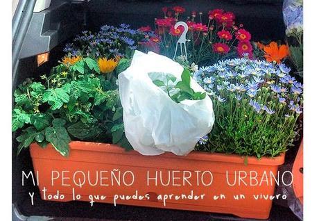 Horticultura y mil cosas bellas