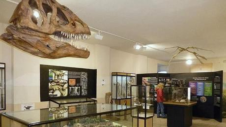 museo-dinosarurios-salas-de-los-infantes
