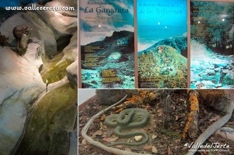 Centro de Interpretación de la Reserva Natural Garganta de los Infiernos. Valle del Jerte