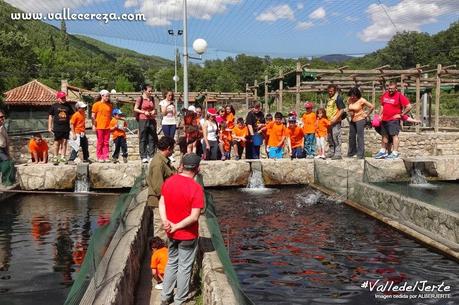 Centro de Reproducción de Salmónidos. Piscifactoría.