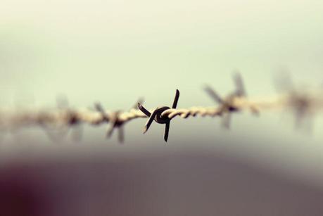 Profundidad de Campo