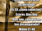 soledad soportada nosotros