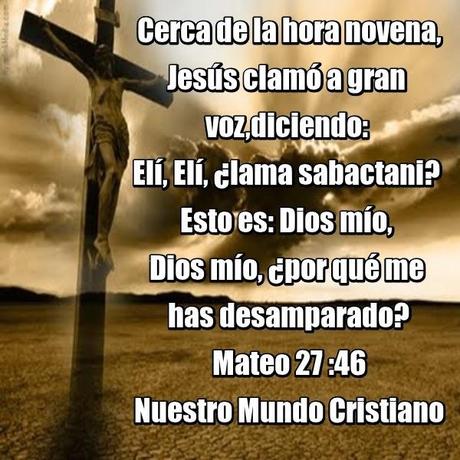 La soledad soportada por nosotros