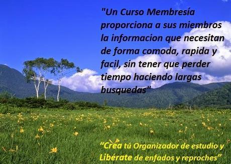 ¿Necesitas organizarte?