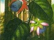 funerales escritor grande