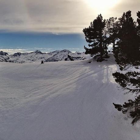 Comparte, comprende, genera confianza