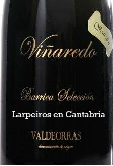 Vino Tinto Viñaredo Sousón 2010: Valdeorras, pero qué bueno