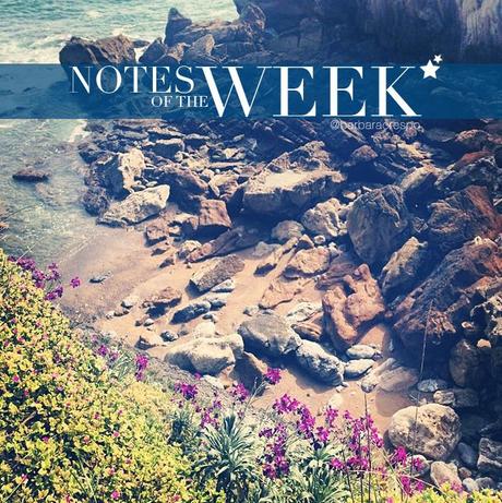 notes of the week barbara crespo tumblr social media instagram youtube instavideo