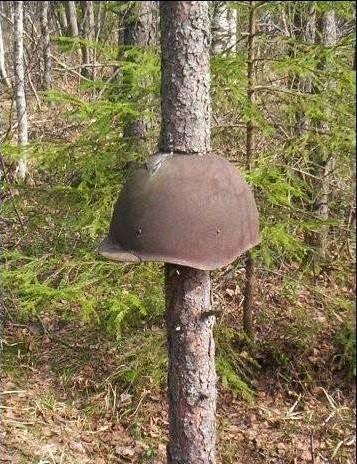 Objetos militares atrapados en árboles. 