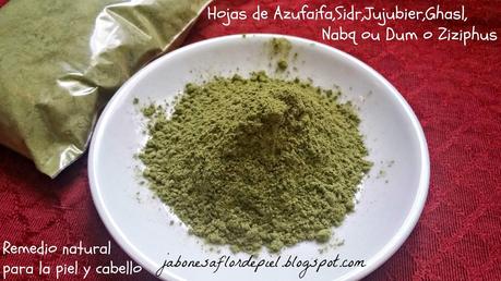 Una planta medicinal con multiples propiedades para piel y cabello-las hojas del Azufaifo,Sidr o Jujubier