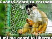 Kepa entera