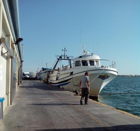 La lonja de pescado de Isla Cristina es una de las principales de la zona, los barcos llegan cargados sobre las cinco de la tarde para vender su pescado fresco