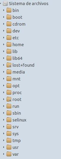 raiz-sistema-archivos
