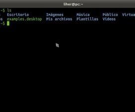 terminal-ubuntu-ls