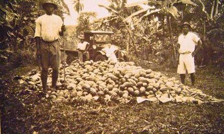 Palmeras en la nieve - Luz Gabás Palmeras en la nieve - Luz Gabás