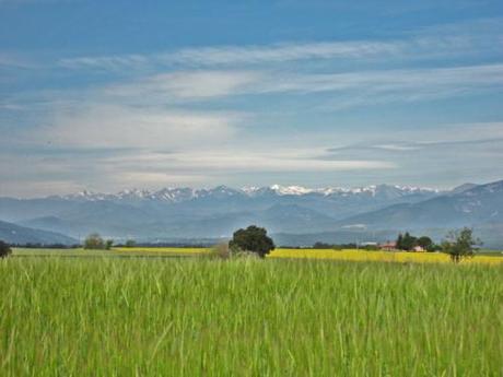Pirineo desde l'Empordà
