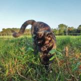 Crónica de una “escapadita” y otras cosas sobre cangrejos y libros