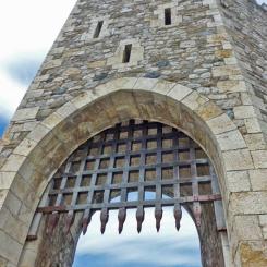 Crónica de una “escapadita” y otras cosas sobre cangrejos y libros