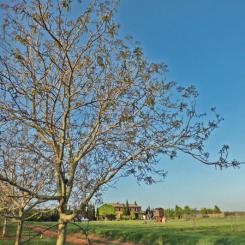 Crónica de una “escapadita” y otras cosas sobre cangrejos y libros