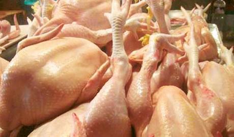 PolloHeladera-20042014