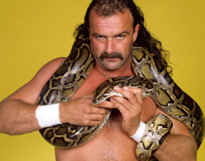 Jake Roberts-www.desvariosvarios.com