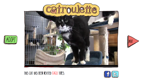 Adopta o pasa al siguiente gato con Catroulette