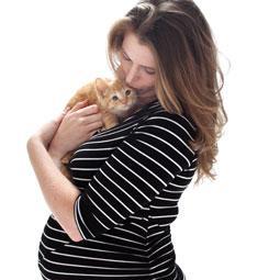 enfermedades en el embarazo y gato