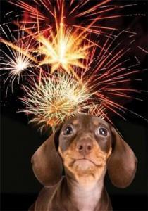fireworks1-210x300 Tu mascota y los fuegos artificiales