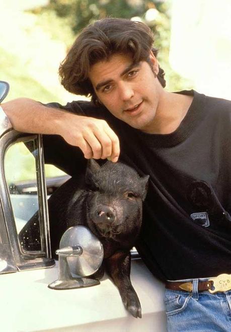 George Clooney y su cerdo max wakuplanet