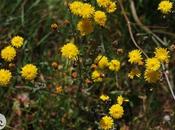 cosas descubierto estas mini-vacaciones/5 things I’ve discovered these holidays