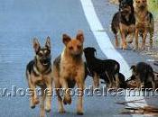 "Sobrevivr...una oportunidad"