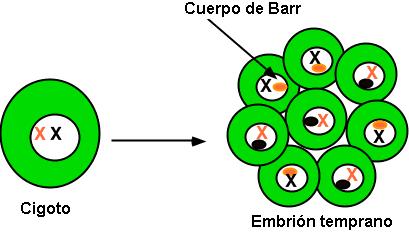 Cuando la naturaleza manda a callar a las mujeres