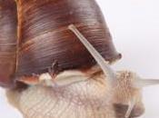 Planifica lentamente para moverte rápidamente