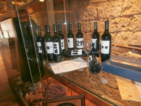 Museo Provincial del Vino de Peñafiel (Valladolid)